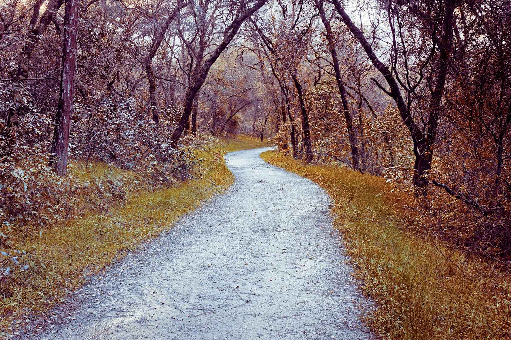 Folsom Lake Path