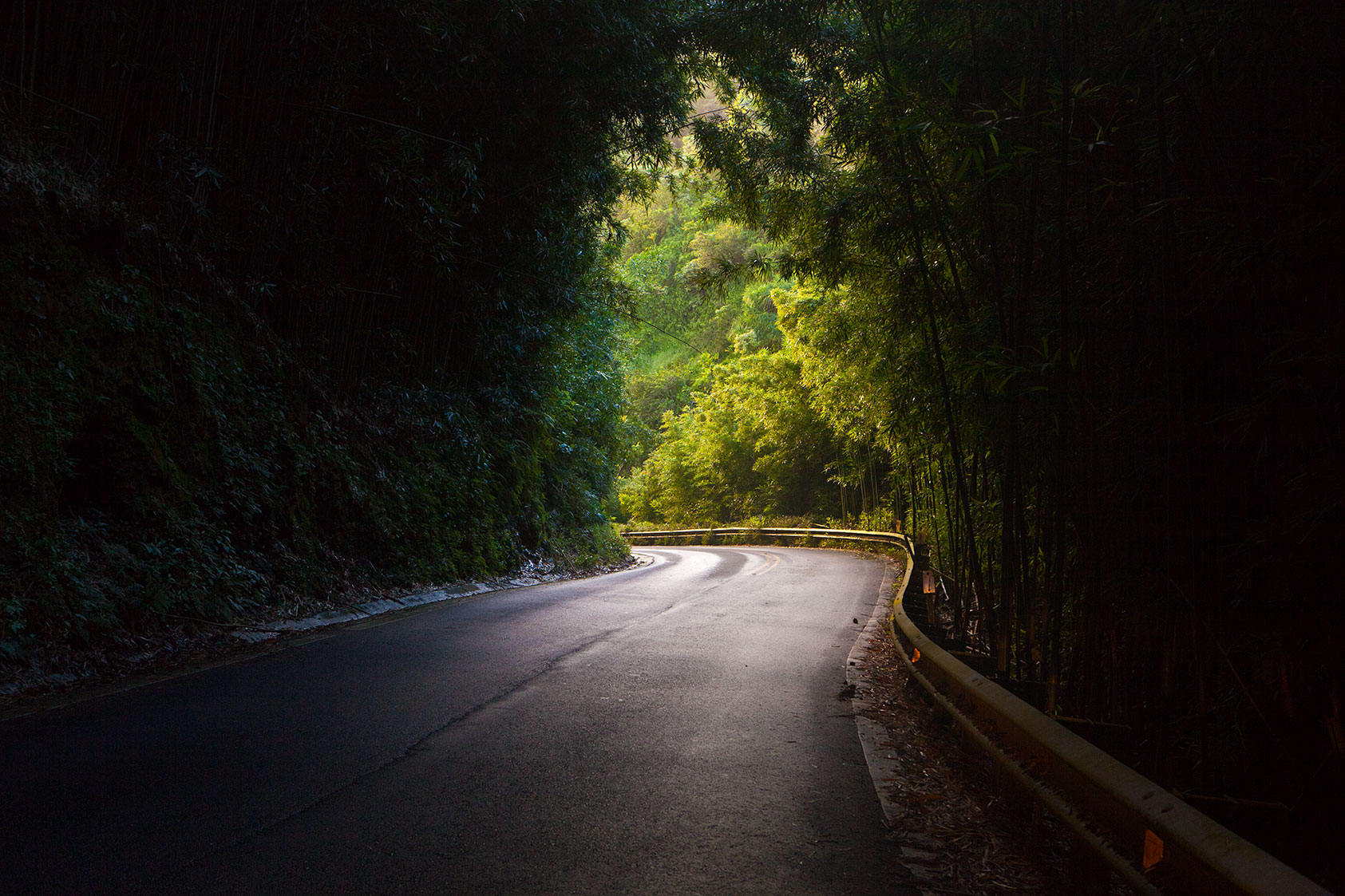 Road out of Hana