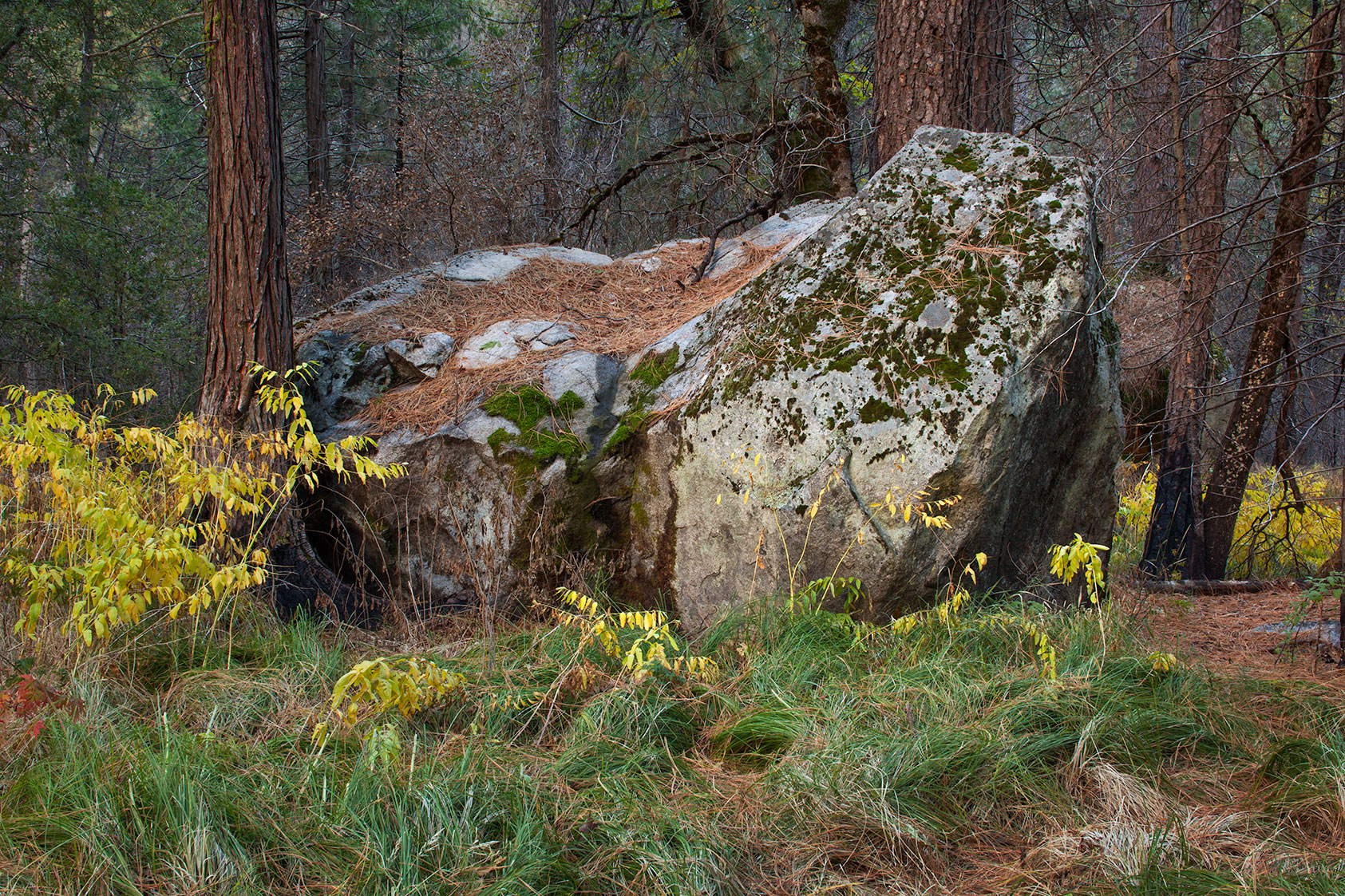 Yosemite-Fall-2010-41-Master